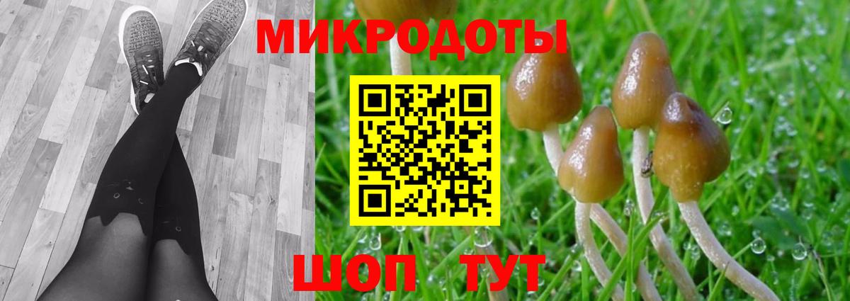 Псилоцибиновые грибы мицелий Екатеринбург